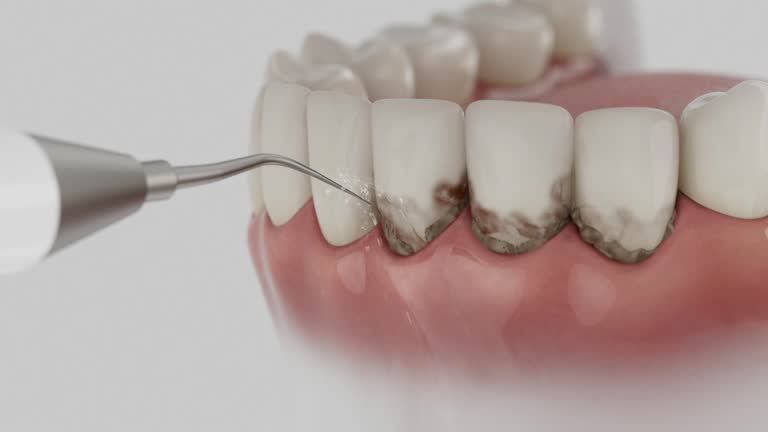 Reliable Dental contractor in Kamiah, ID by Dentist Open Now